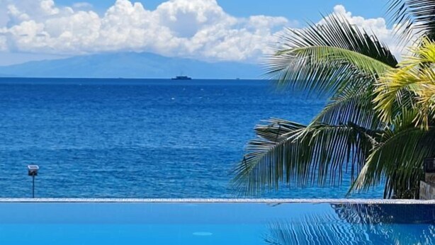 Visão nítida de uma piscina, uma palmeira e um navio ao longe no horizonte.