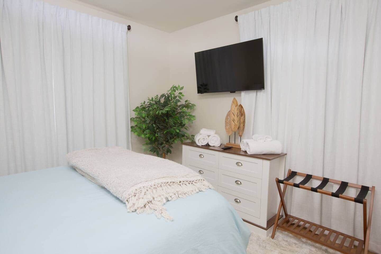 Una camera da letto con un letto, una cassettiera, un televisore a schermo piatto e una pianta.