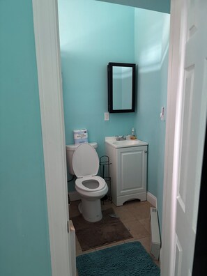 Hair dryer, towels, soap, toilet paper