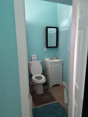 Hair dryer, towels, soap, toilet paper