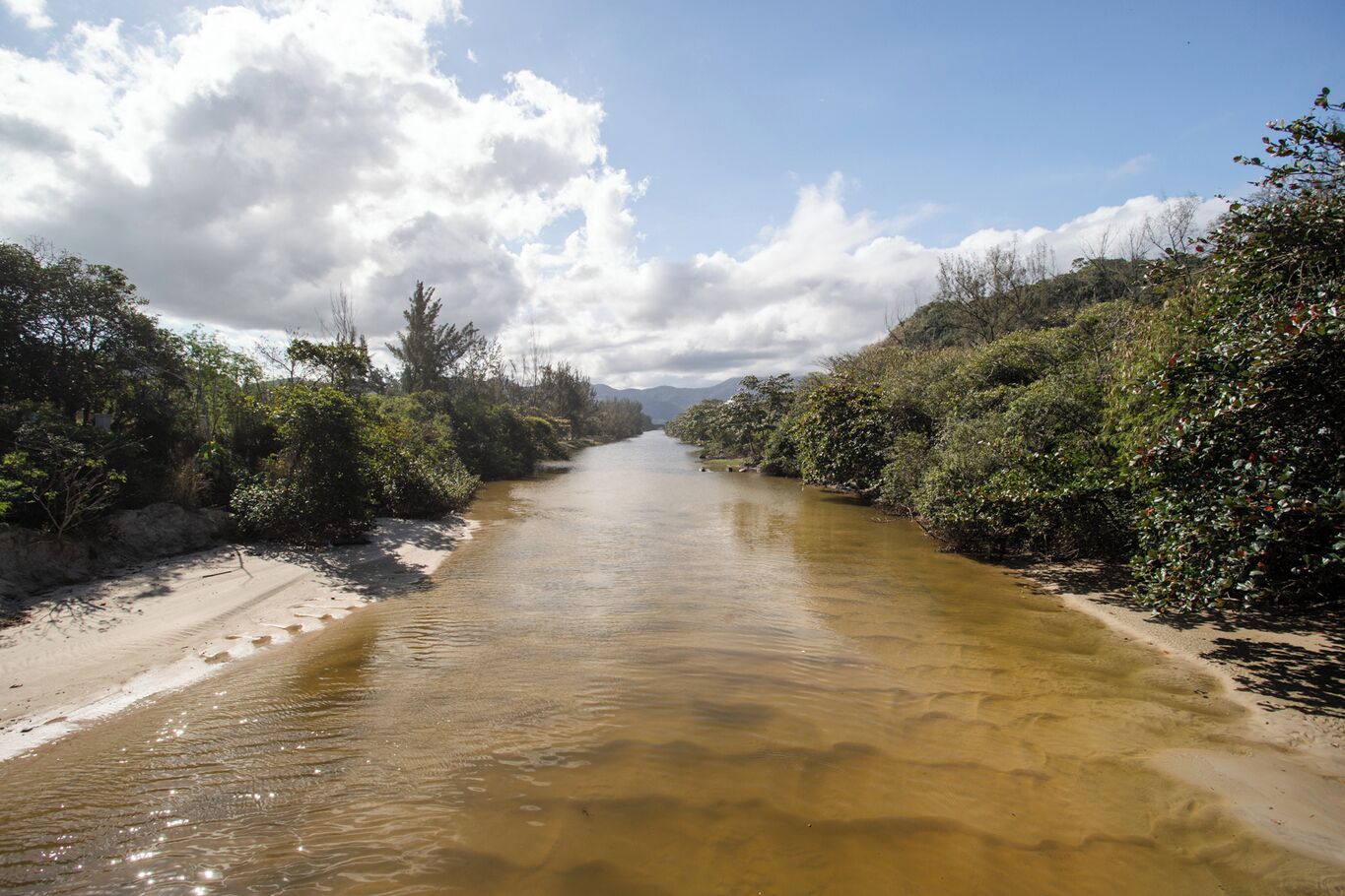 A river flanked by dense vegetation and a sandy bank.