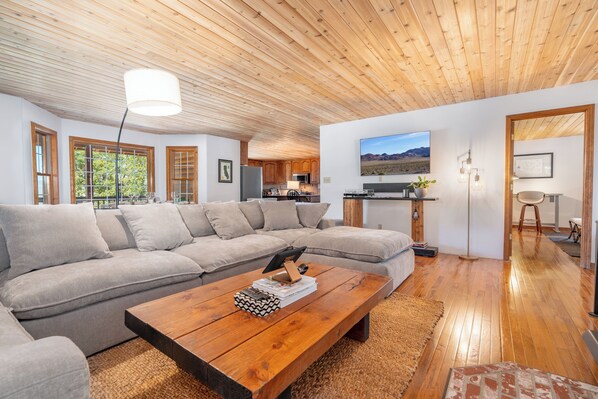 Smart TV, fireplace, books, music library