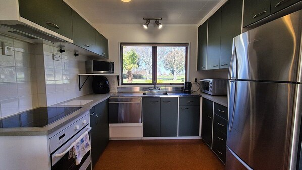 Oven, stovetop, dishwasher