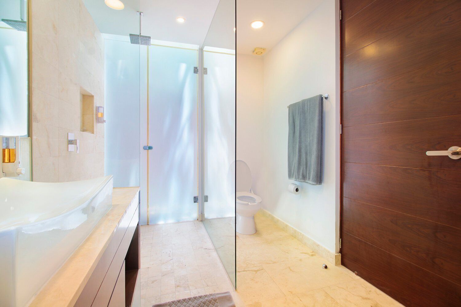 A modern bathroom with a glass shower enclosure, a wooden door, and a white toilet.