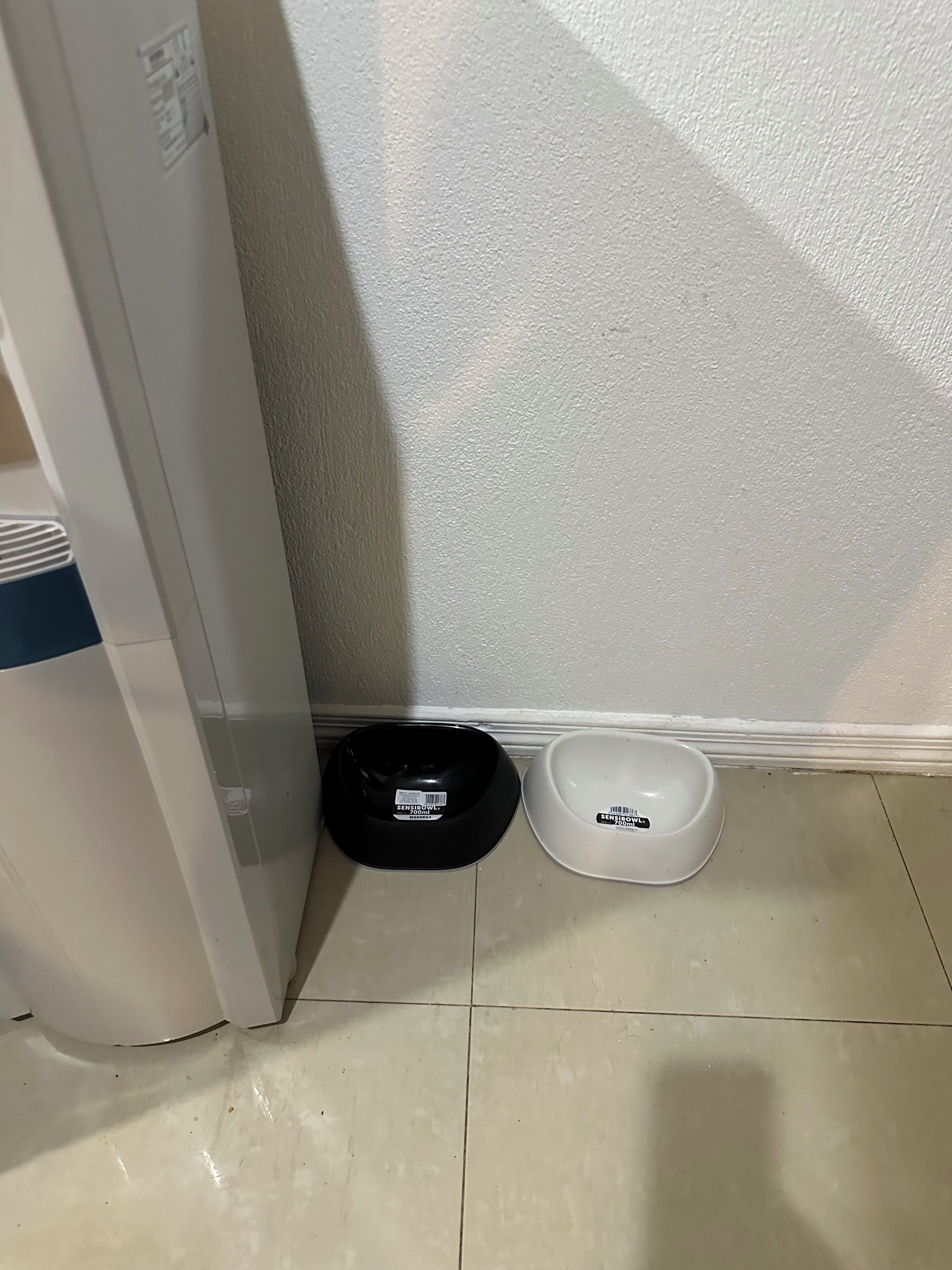 Een hoek van een kamer met een witte muur en een betegelde vloer. Op de vloer staan twee voerbakken voor huisdieren, een zwarte en een witte.
