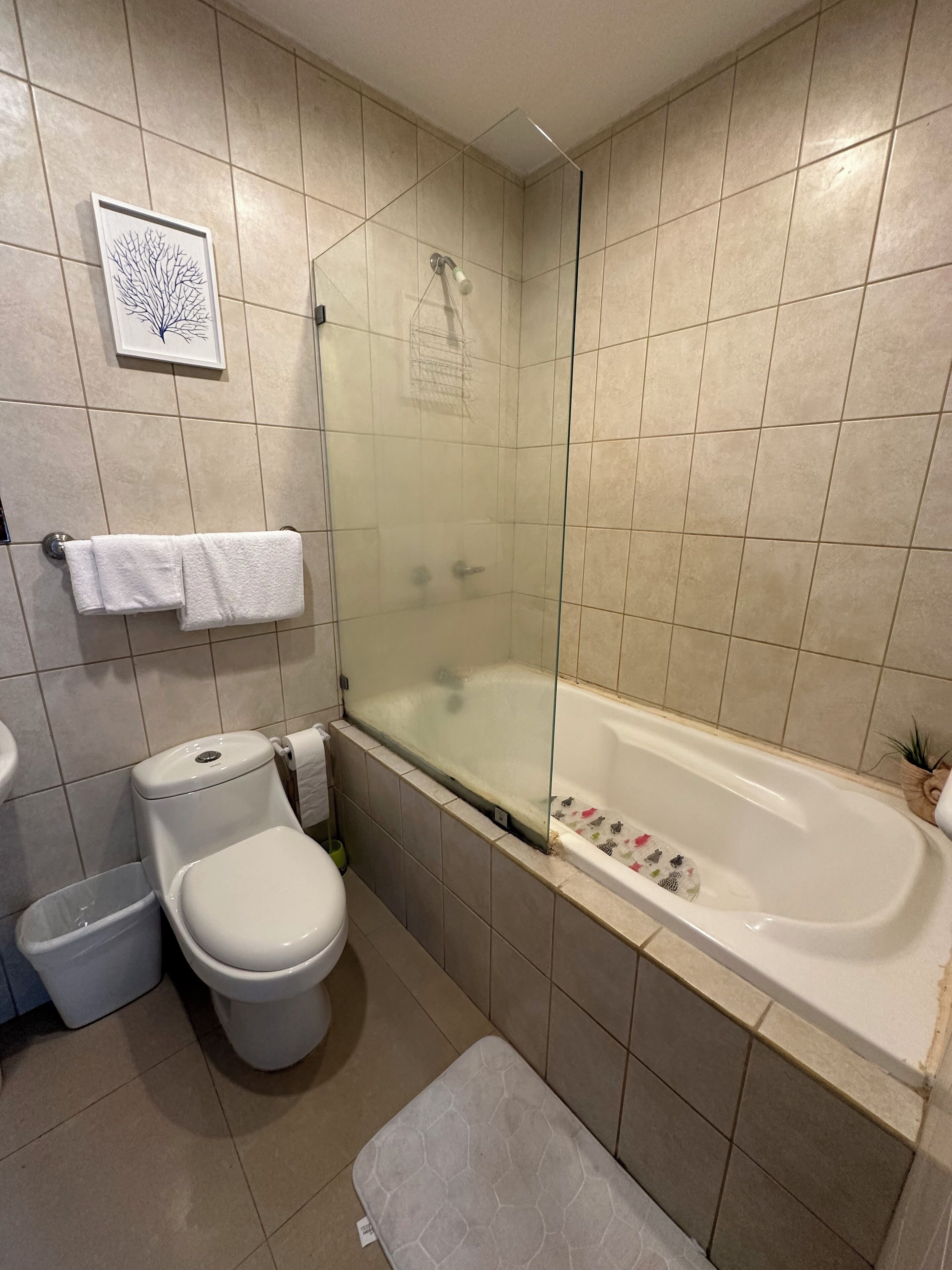 Un baño moderno con ducha envuelta en vidrio, inodoro blanco y bañera con felpudo de motivos florales.