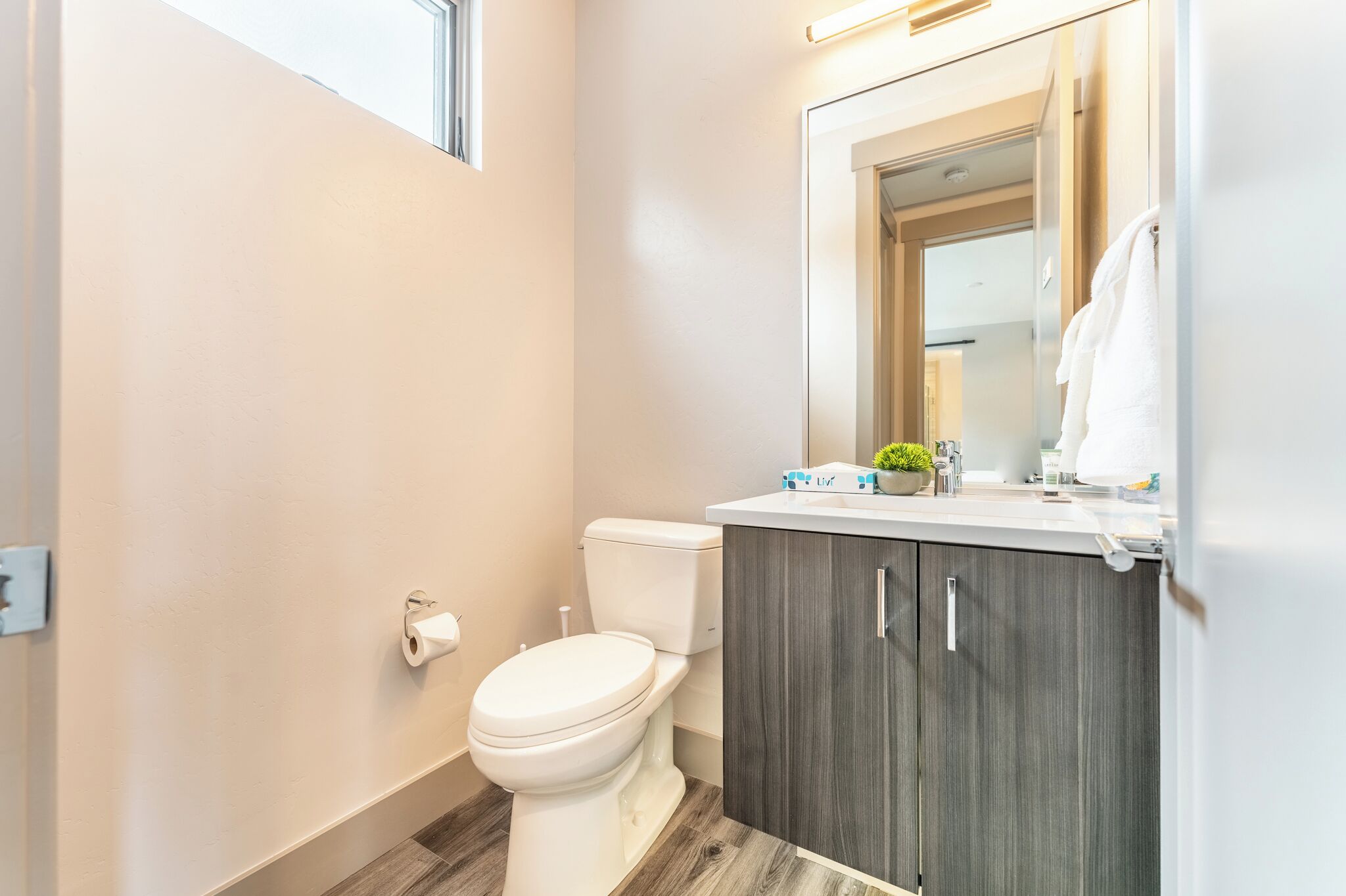 Une salle de bain moderne avec des toilettes, un meuble-lavabo avec un miroir et une petite plante posée sur le comptoir.