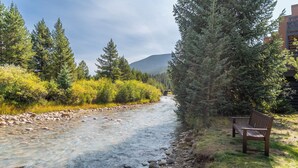 A river with clear water, surrounded by greenery and a wooden bench.