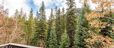 A wooden deck with a metal table, surrounded by dense evergreen trees and a backdrop of a mountain range.