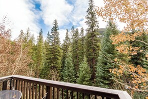 Apartment (4 Bedrooms) | Exterior - Trapper's Crossing #8773 : 2 (Keystone)