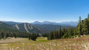 A mountainous landscape with a clear sky, dense forest, and a winding path.