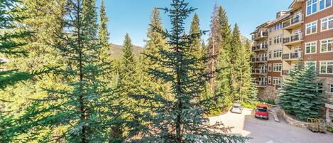 A hotel with a paved driveway, surrounded by evergreen trees, and a multi-story building with balconies.