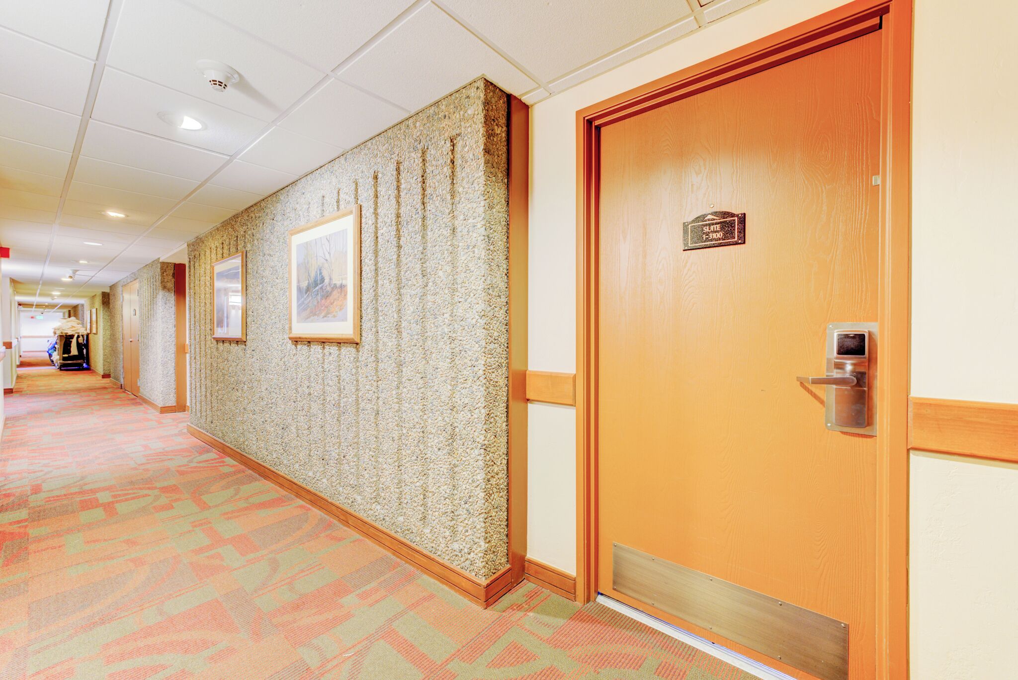 Un couloir d’hôtel avec un tapis à motifs, des œuvres d’art encadrées accrochées aux murs et une porte portant l’inscription « Suite 1-3 ».