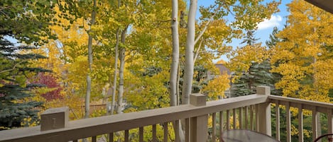 Appart'hôtel (3 Bedrooms) | Équipement de l’hébergement