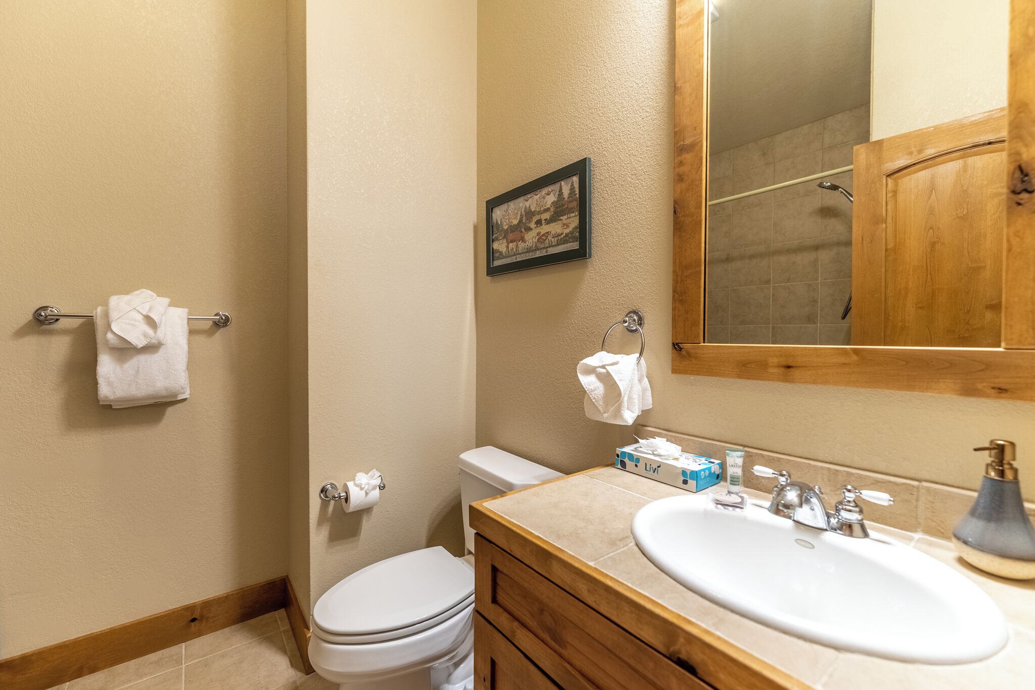 A bathroom with a toilet, sink, and mirror. There are towels on the wall and a picture above the mirror.