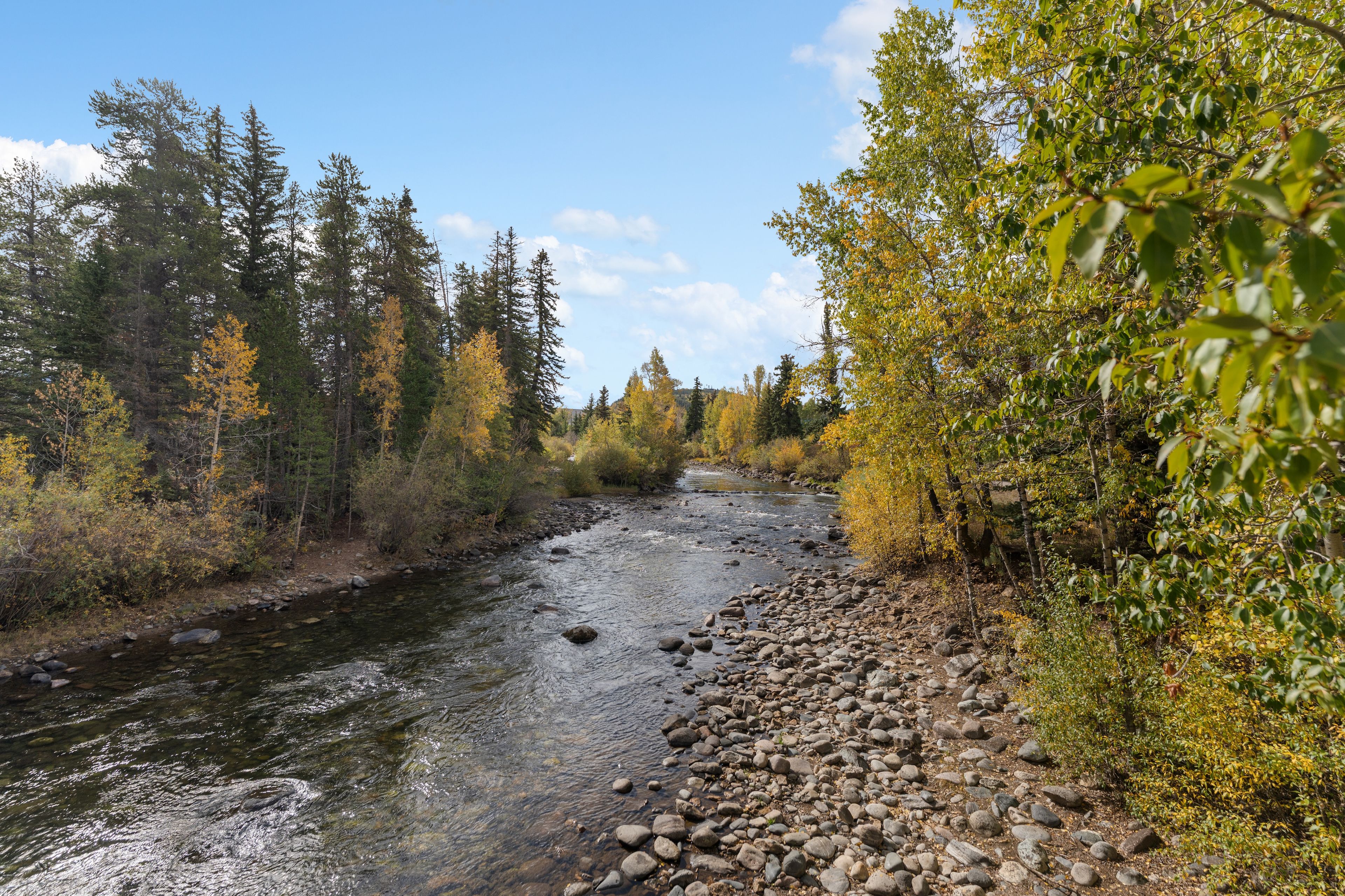 A river flowing through a forested area with rocky banks and trees with autumn foliage.
