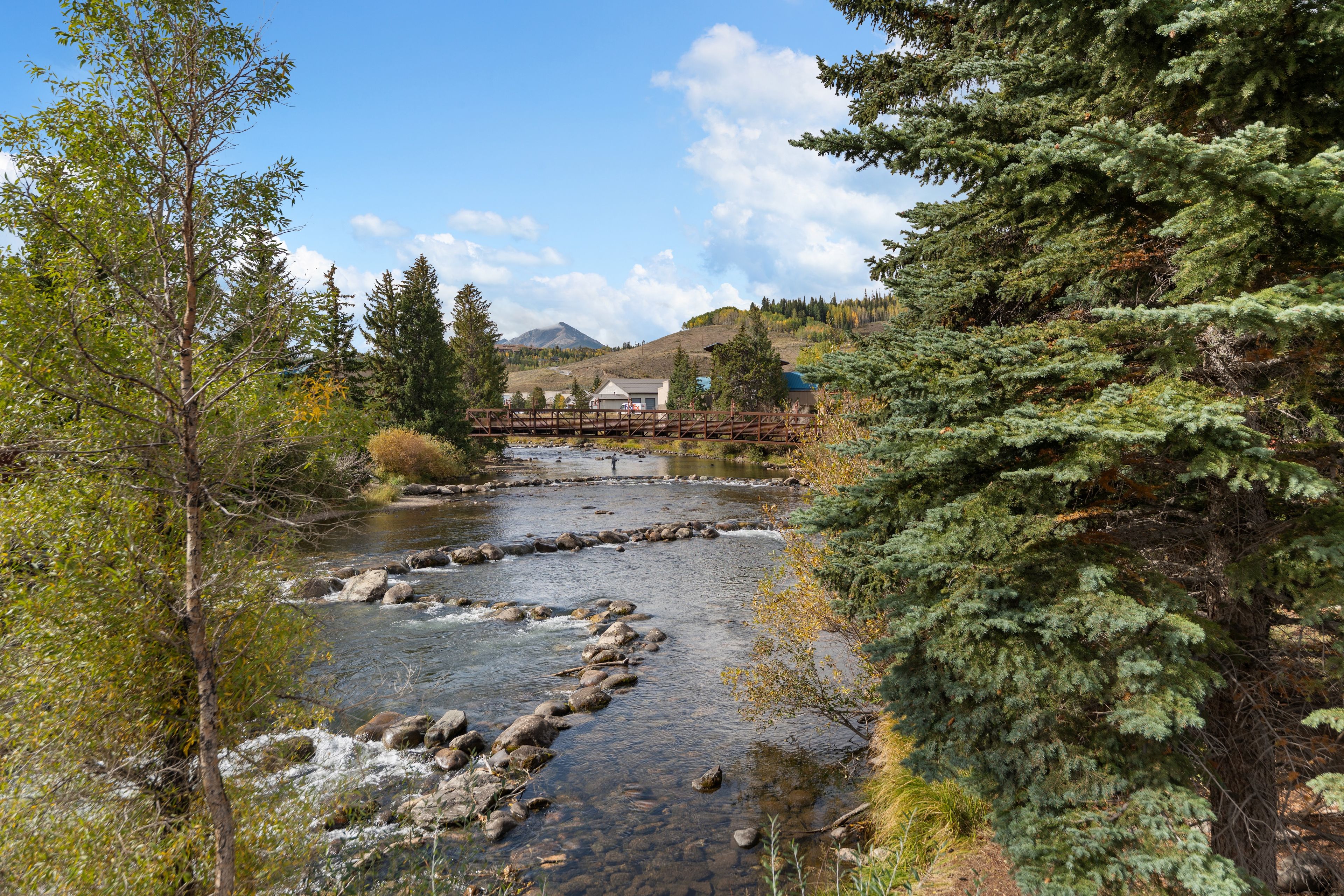 A river flowing through a forested area with a bridge and buildings in the background.