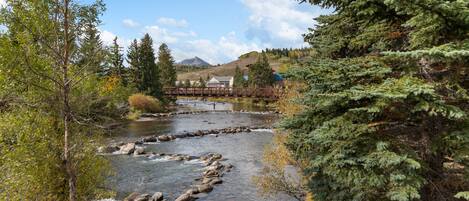 A river flowing through a forested area with a bridge and buildings in the background.