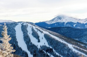 アパートメント (2 Bedrooms) | 外観