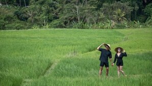 A couple walking in a lush green field with dense tropical vegetation in the background. - Villa d'Alas Ubud (Bali)