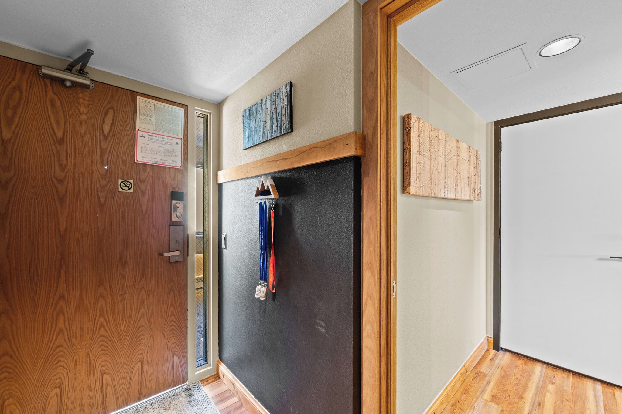 A hallway with a wooden door, a black wall with a mounted artwork, and a white door.