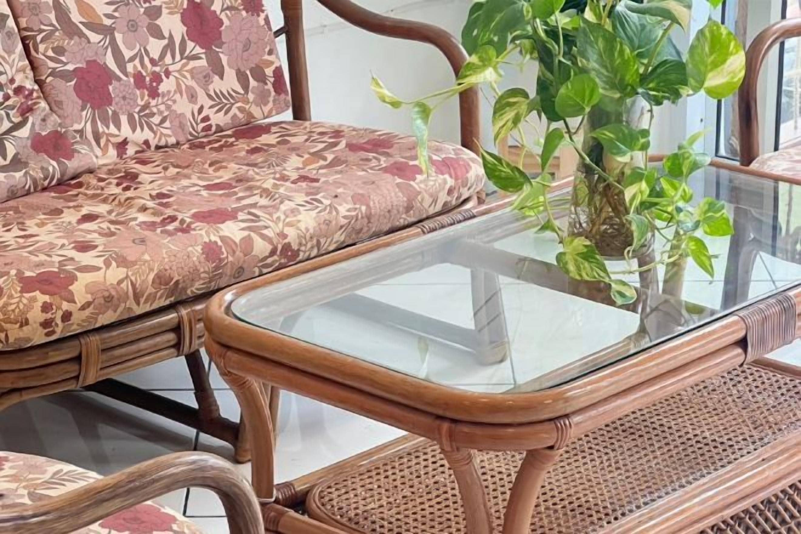 A wicker sofa with a floral pattern, a glass coffee table, and a potted plant.