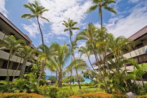 Property grounds - Ocean View White Sands Village across from Magic Sands Beach! (Kailua-Kona)