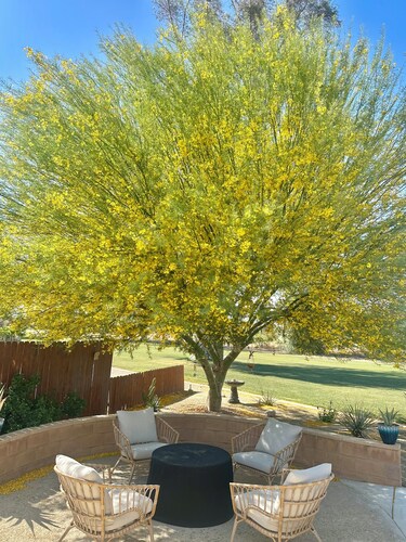 
Your Borrego Bungalow: 2BR/2BA at Roadrunner Golf and C.C. Golf cart included!