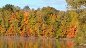 Un llac tranquil envoltat d'arbres amb fullatge d'octubre.