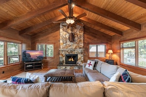 Smart TV, fireplace, books