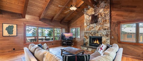 Smart TV, fireplace, books