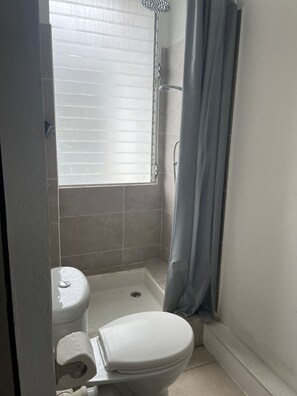 Towels, toilet paper