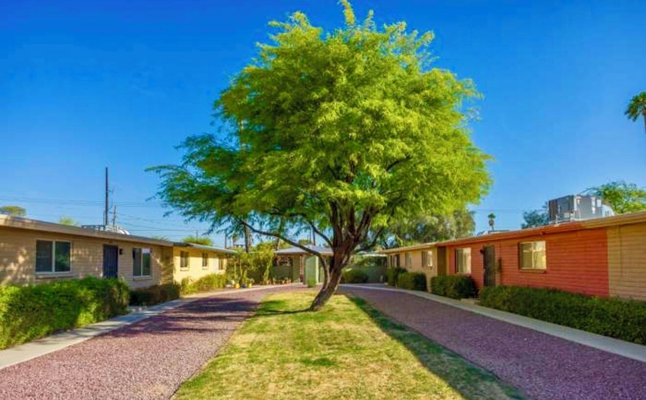 A row of single-story mobile homes with a central tree-lined driveway.