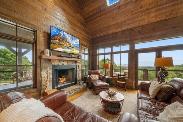 Smart TV, fireplace, books