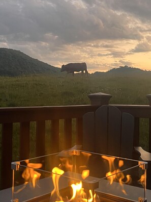 Property grounds - Pet-Friendly Charming Cabin near Boone w/ Views & Fireplace (Todd)