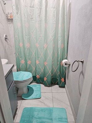 Shower, hair dryer, towels, soap