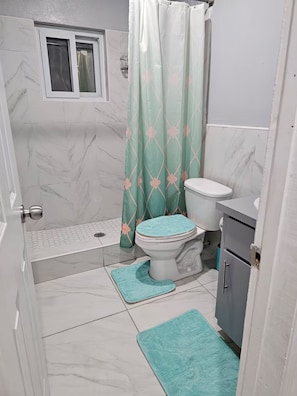 Shower, hair dryer, towels, soap