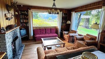 Télévision, cheminée