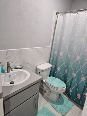 Secador de pelo, toallas, jabón y papel higiénico