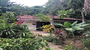Een huis met een pannendak, omgeven door weelderig groen en diverse planten.
