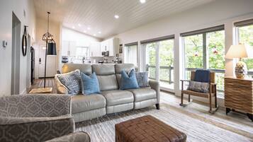 Televisor intel·ligent, llar de foc, reproductor de DVD i llibres