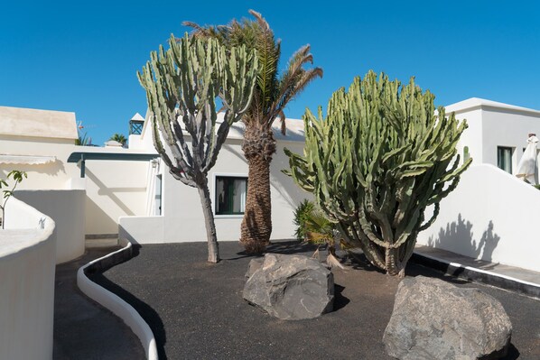 A landscaped area with cacti and rocks, white walls, and a clear blue sky.