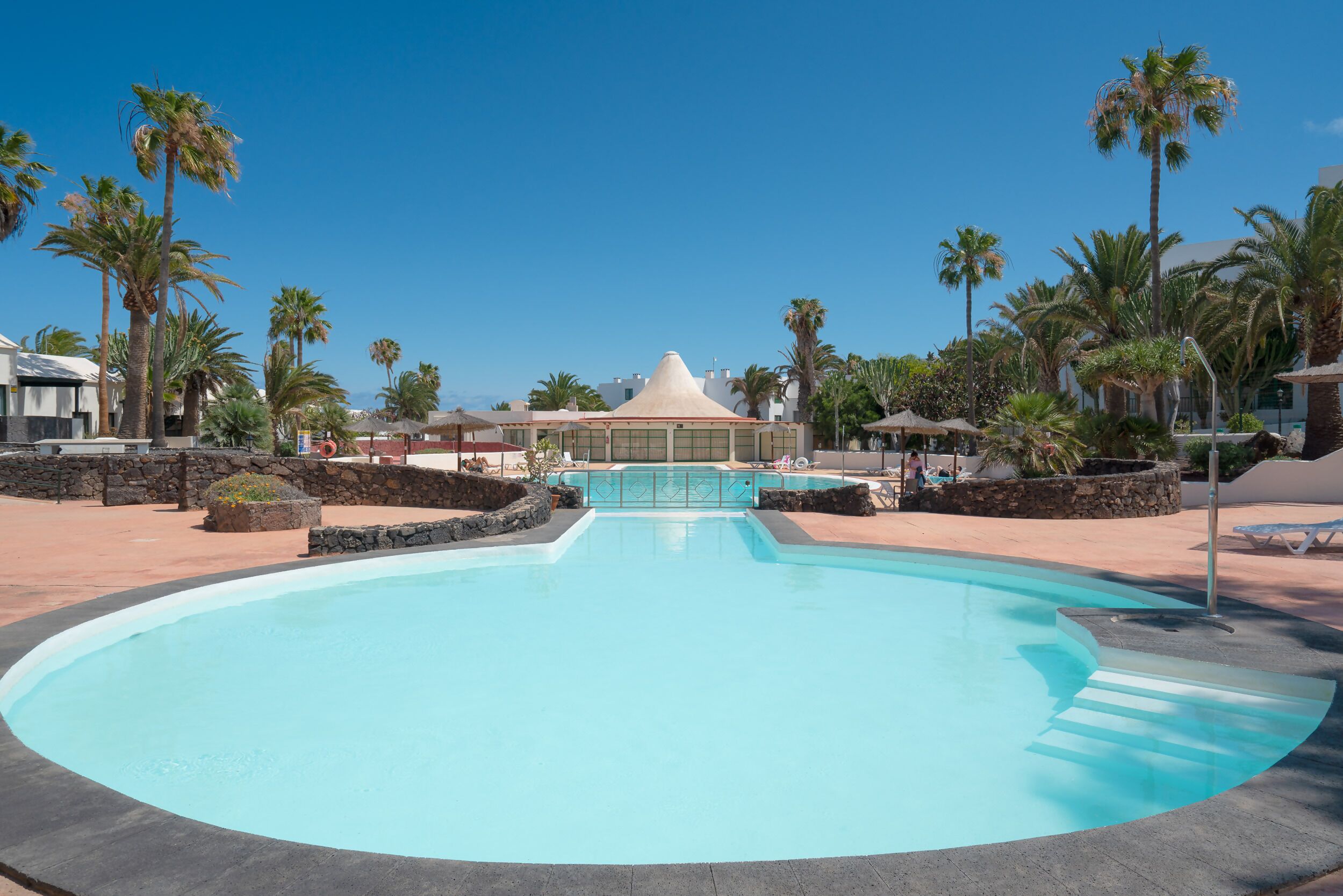 Una piscina amplia y despejada con borde curvo, rodeada de palmeras y un muro de piedra.