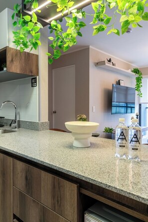 Interior - Geko | Tropicana_1BR near the Financial Center (San Isidro)