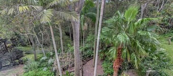 Treehouse Waterview at Caves Beach