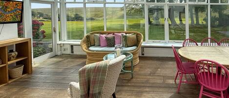 Televisión y chimenea