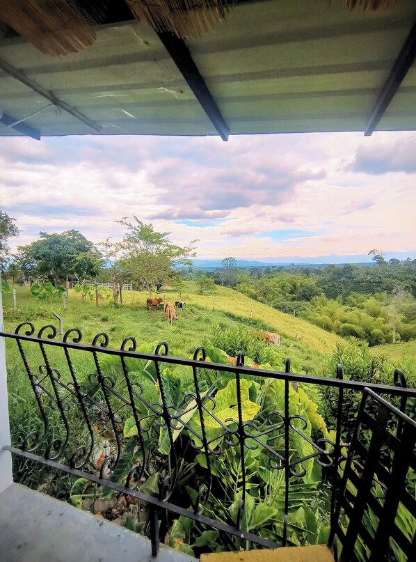 Comfort Double Room, Balcony, Hill View | Terrace/patio