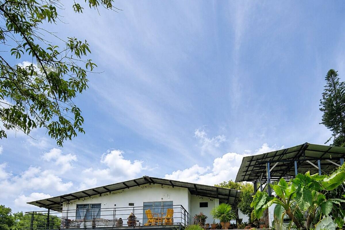 A modern house with a covered patio, a well-maintained lawn, and various potted plants.