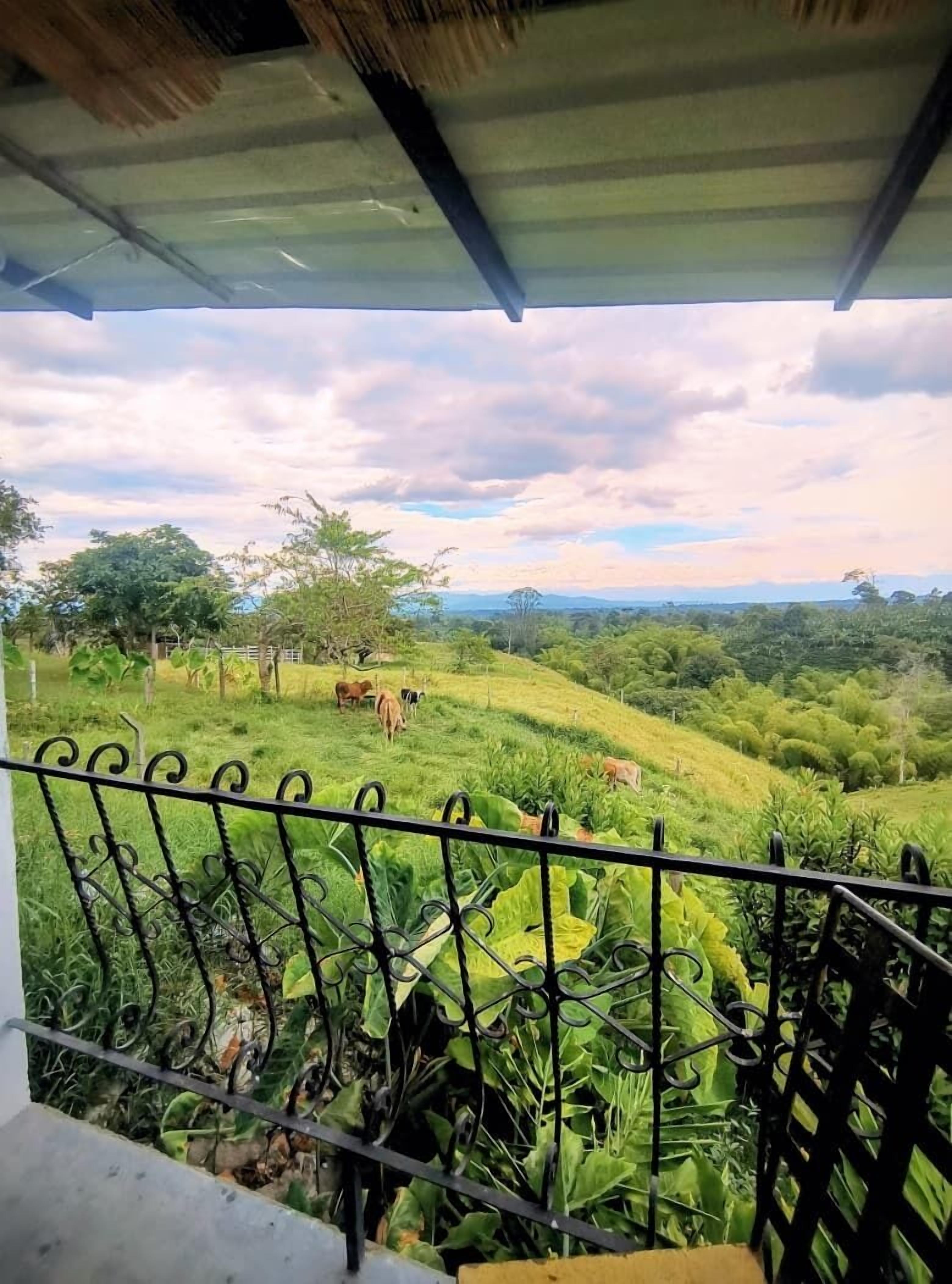A balcony with a metal railing overlooking a lush green landscape with cows grazing.