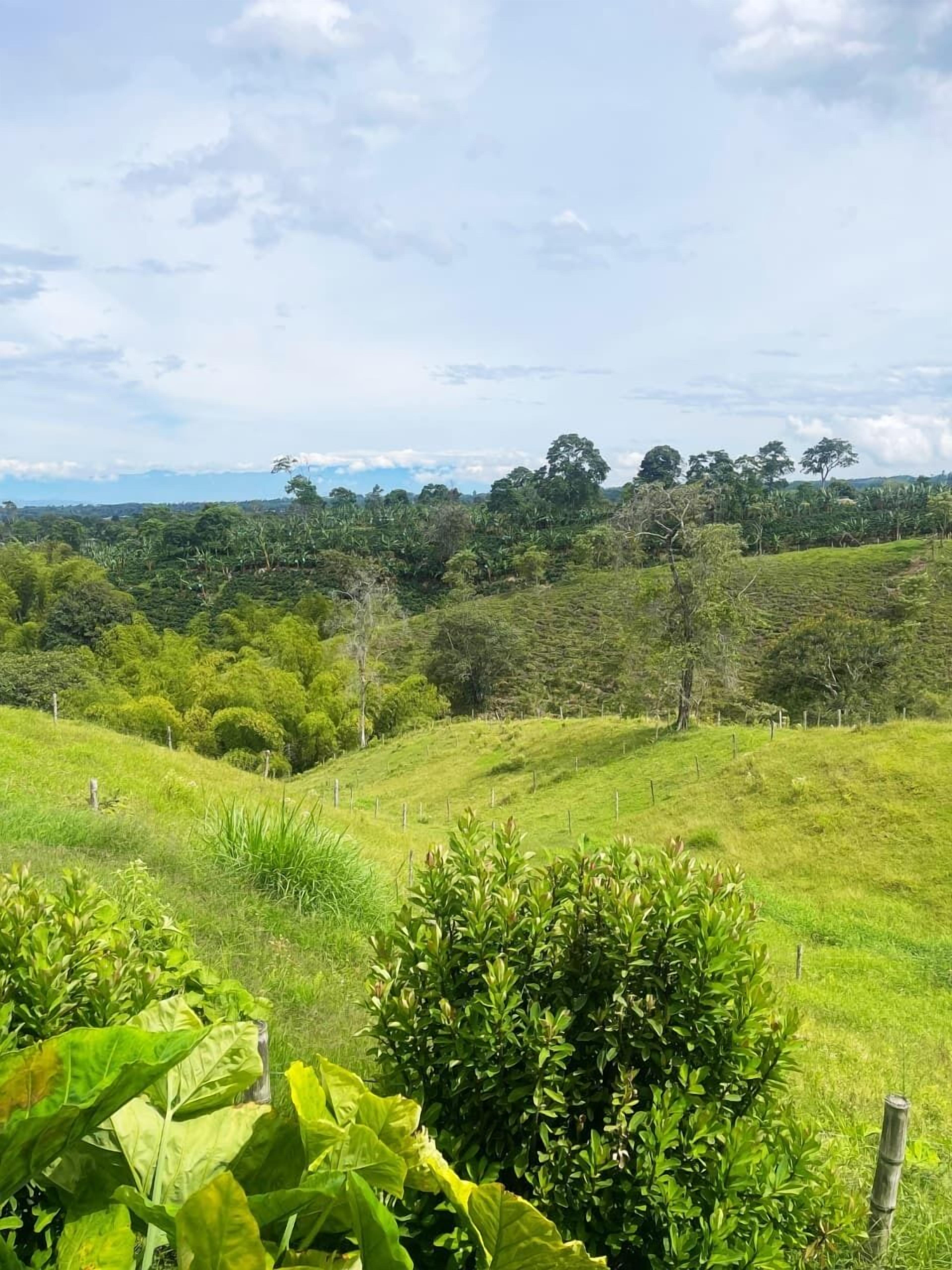 Land view from property